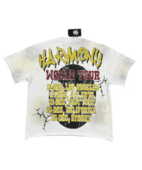 HARMONY Men's Vintage Pop Art Graphic Oversized T-Shirt – Double-Sided Unisex Streetwear Tee